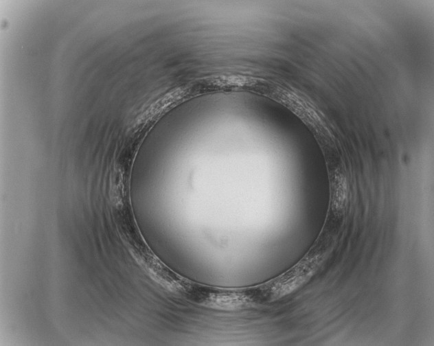 X0000087400414200705042040