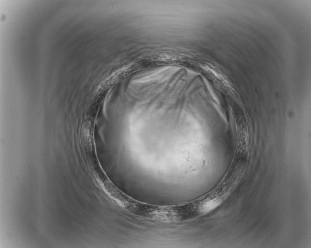 X0000087400415200705042040