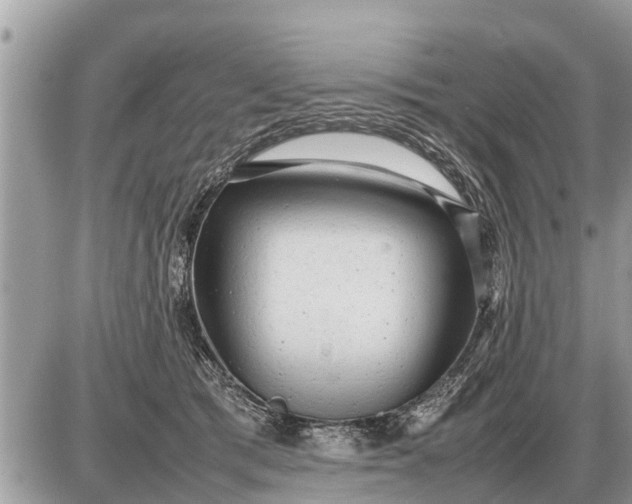 X0000087400417200705042040