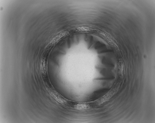 X0000087400418200705042040