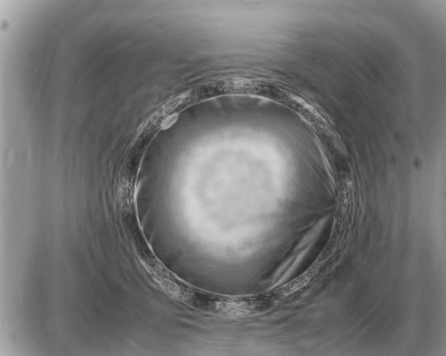 X0000087400419200705042040