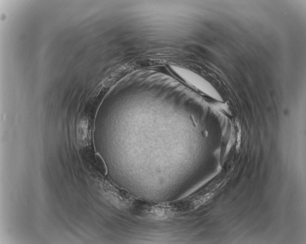 X0000087400420200705042040