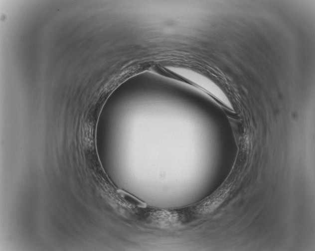 X0000087400421200705042040