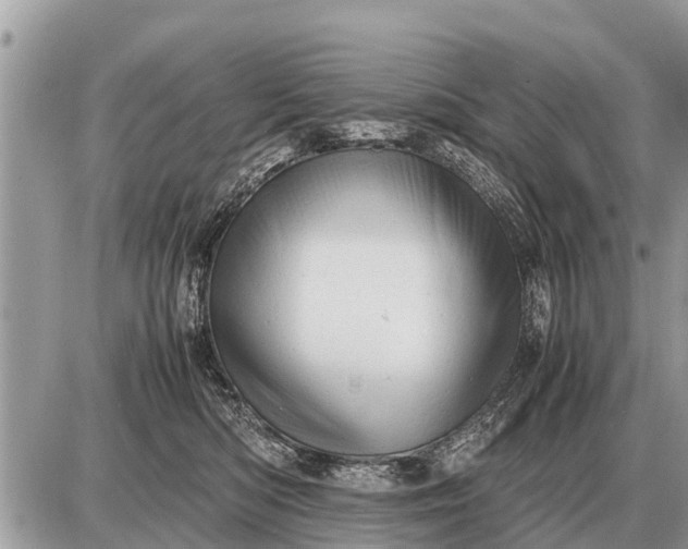 X0000087400422200705042040