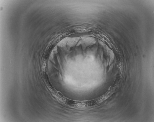 X0000087400423200705042040