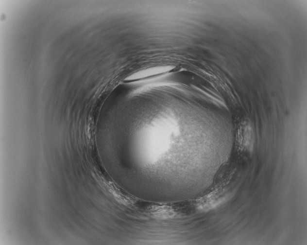 X0000087400424200705042040