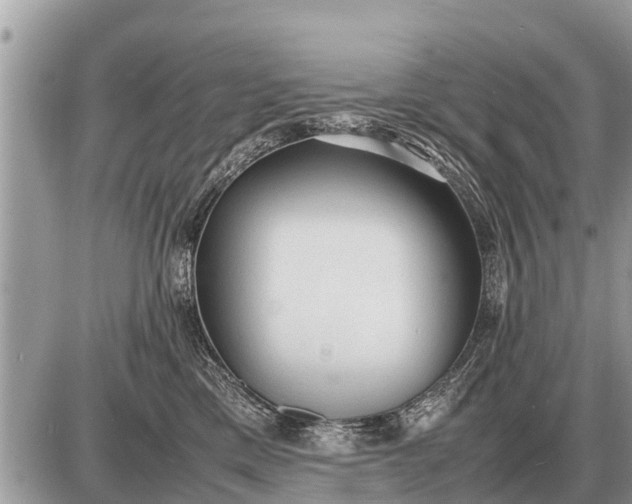 X0000087400425200705042040