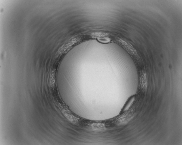 X0000087400426200705042040