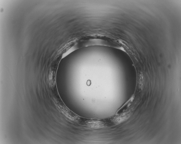 X0000087400428200705042040