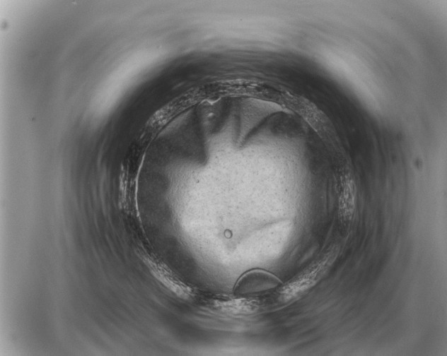 X0000087400430200705042040