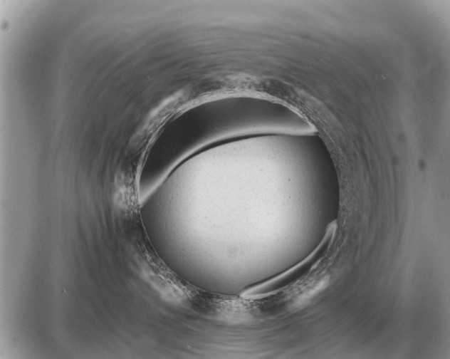 X0000087400432200705042040