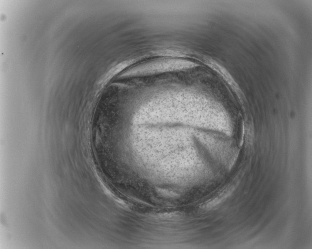 X0000087400433200705042039