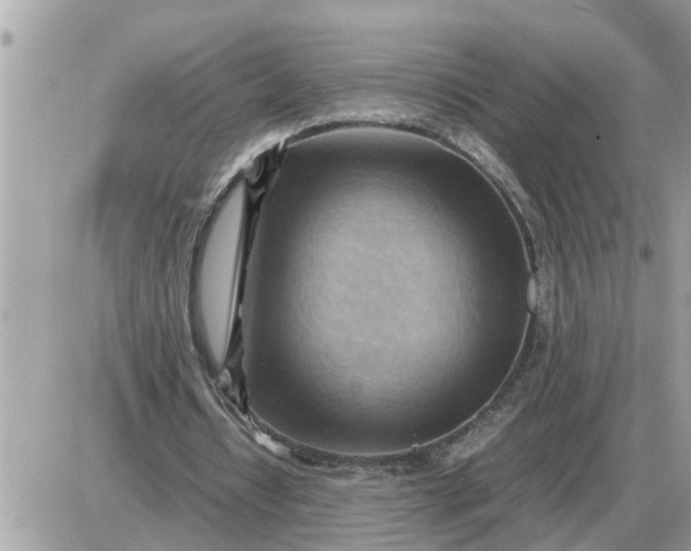 X0000087400434200705042039