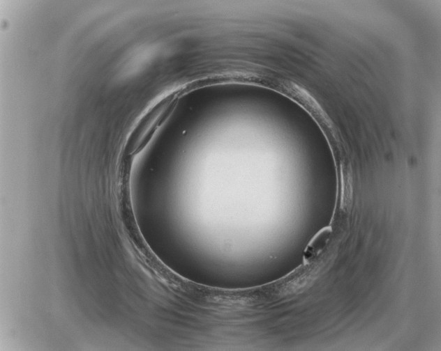 X0000087400435200705042039