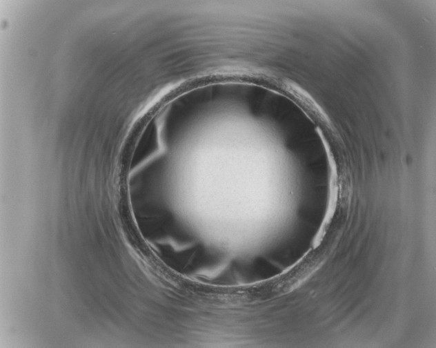 X0000087400436200705042039