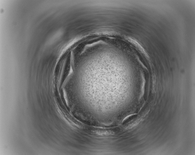 X0000087400439200705042039