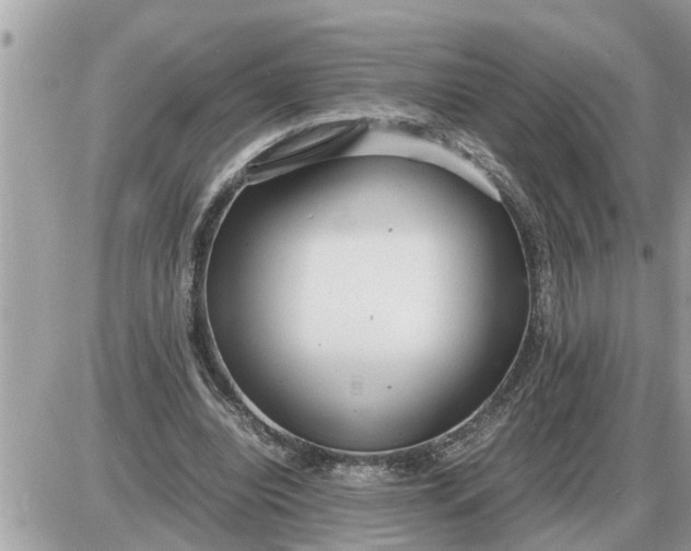 X0000087400440200705042039