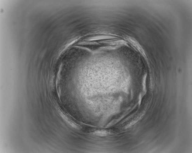 X0000087400441200705042039