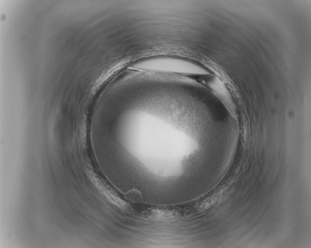 X0000087400442200705042039