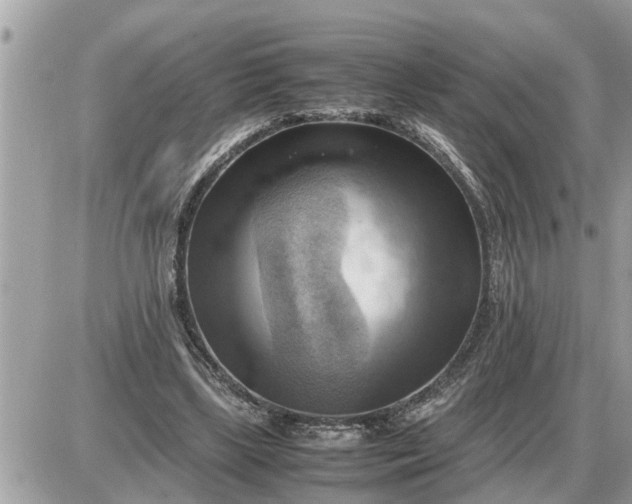 X0000087400443200705042039