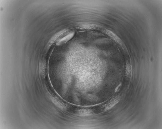 X0000087400444200705042039