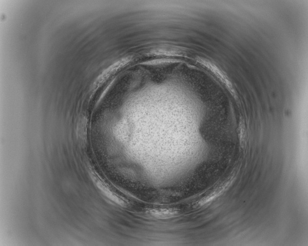 X0000087400445200705042039