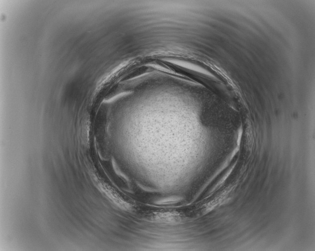 X0000087400446200705042039