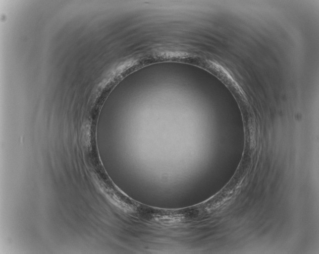 X0000087400447200705042039