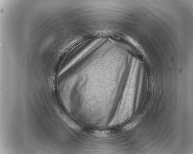 X0000087400450200705042039