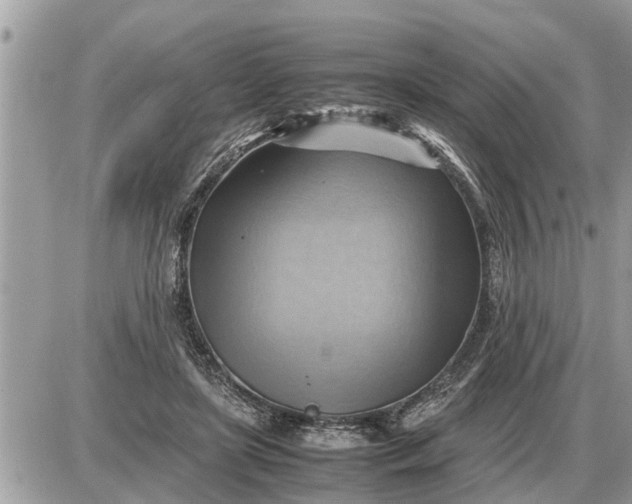 X0000087400451200705042039