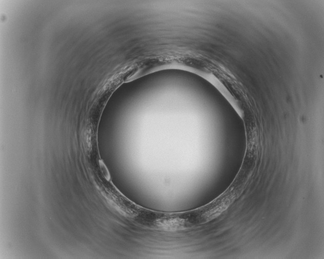 X0000087400452200705042039