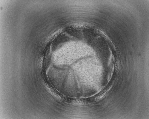 X0000087400454200705042039