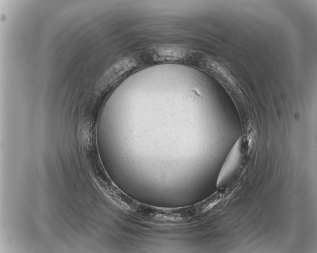 X0000087400455200705042040