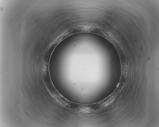 X0000087400456200705042040