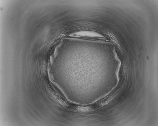 X0000087400457200705042040