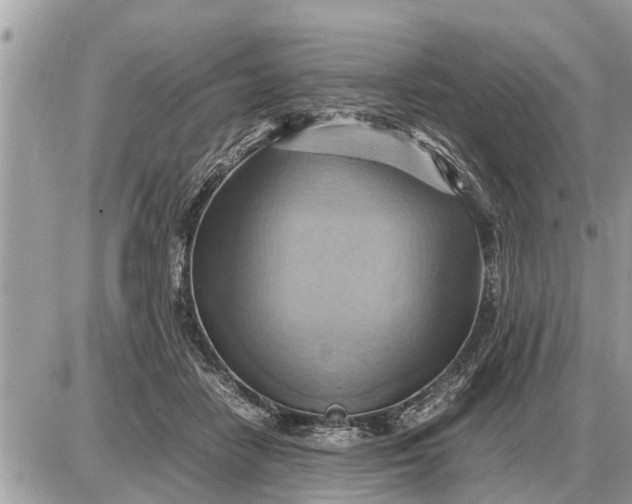 X0000087400458200705042040