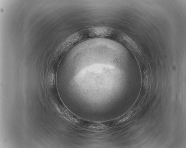 X0000087400459200705042040