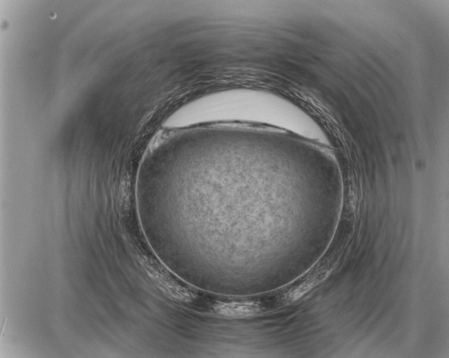 X0000087400461200705042040