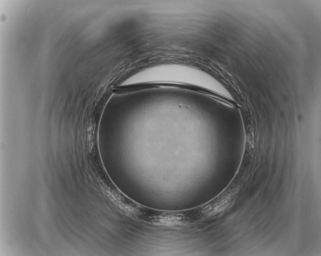 X0000087400462200705042040