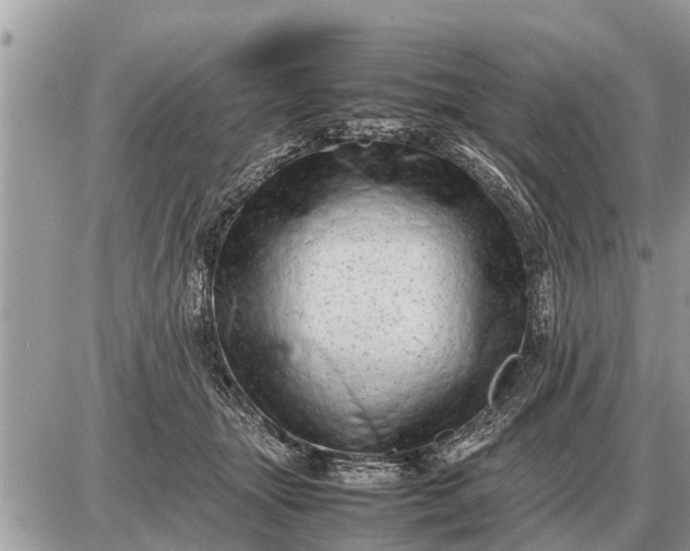 X0000087400463200705042040