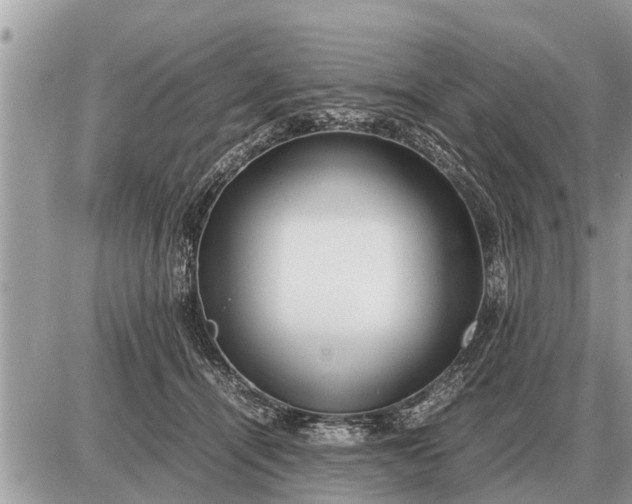 X0000087400464200705042040