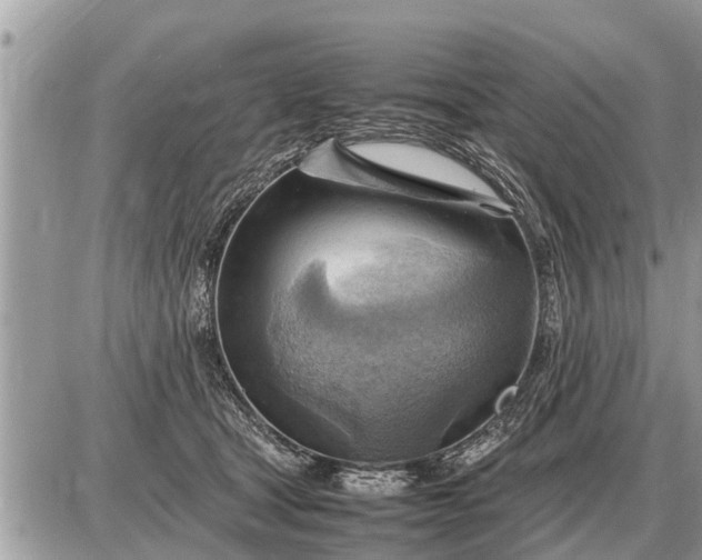 X0000087400465200705042040