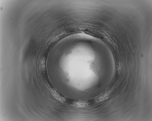 X0000087400466200705042040