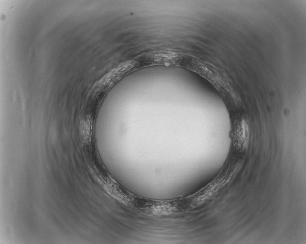 X0000087400468200705042040