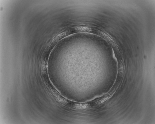 X0000087400469200705042040