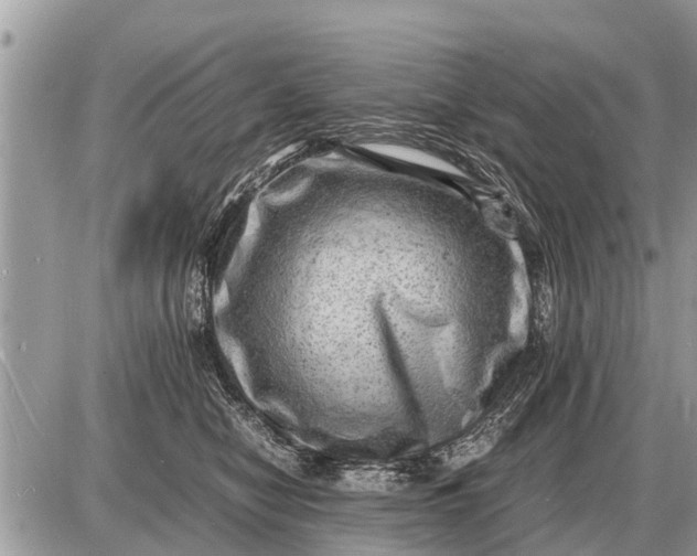 X0000087400470200705042040