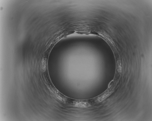 X0000087400471200705042040