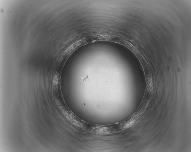 X0000087400472200705042040