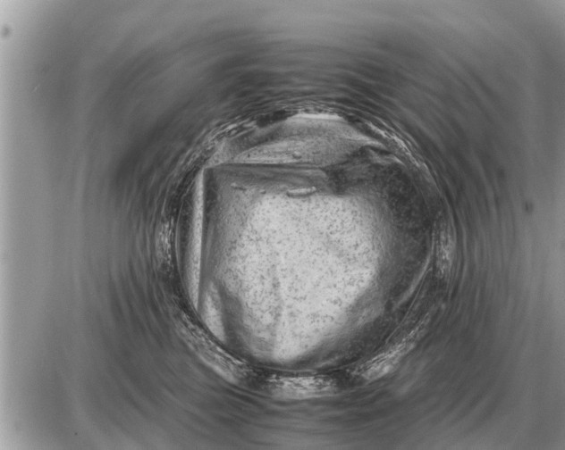 X0000087400473200705042040