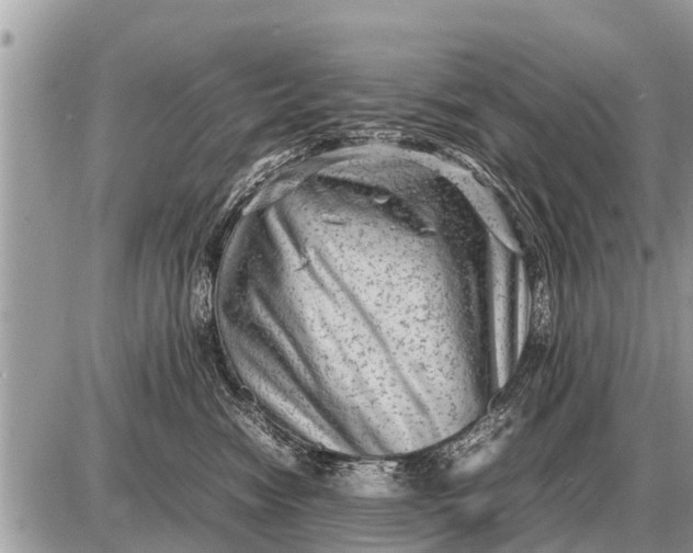 X0000087400474200705042040